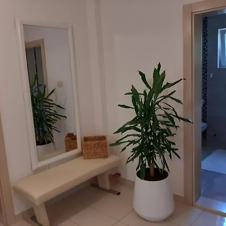 Apartment No 13