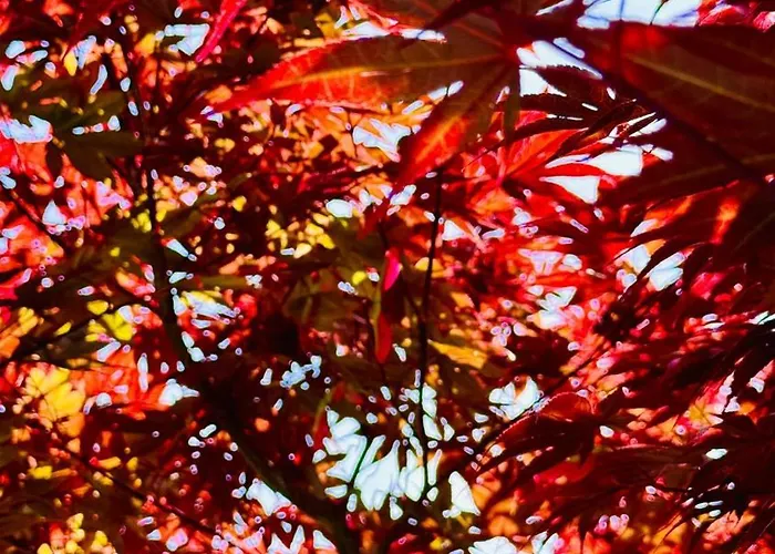 No 13 Apartment Mostar